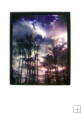 Prints